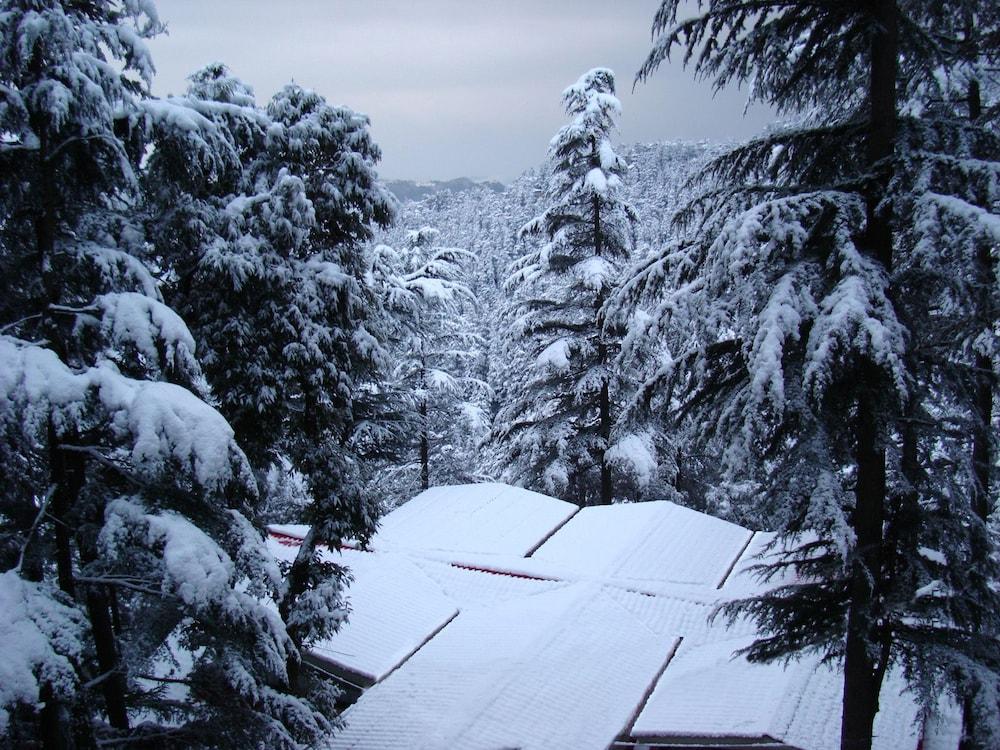 Fairmount Hotel Shimla Extérieur photo